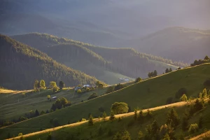 tańczyć w Opolu? Jak ekspert!